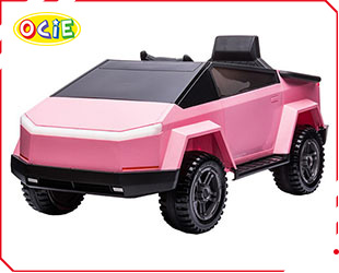 RECHARGEABLE CAR W/ RC