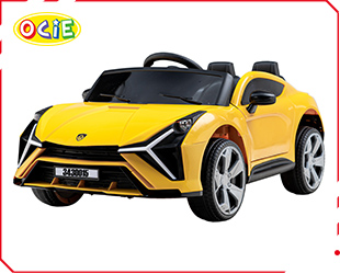 RECHARGEABLE CAR W/ RC