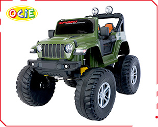 RECHARGEABLE CAR R/C