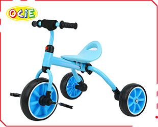 2 IN 1 TRICYCLE