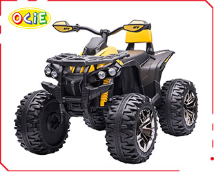 RECHARGEABLE ATV