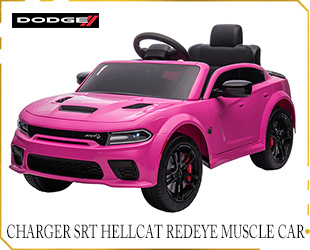 RECHARGEABLE CAR DODGE LICENSE