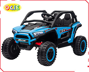 RECHARGEABLE CAR R/C