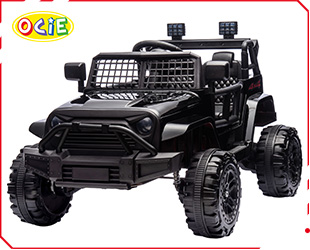 RECHARGEABLE CAR R/C