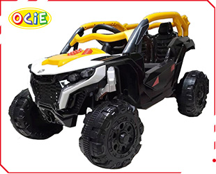 RECHARGEABLE CAR R/C