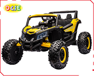 RECHARGEABLE UTV R/C