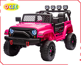 RECHARGEABLE CAR R/C