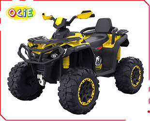 RECHARGEABLE ATV W/RC