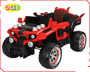 RECHARGEABLE CAR W/ RC