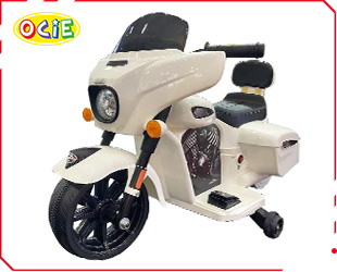 RECHARGEABLE MOTORCYCLE LICENSE