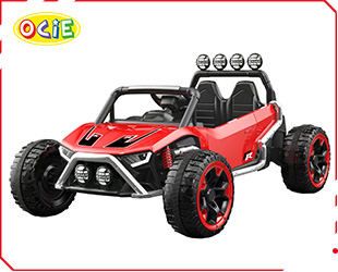 RECHARGEABLE CAR R/C