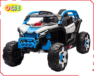 RECHARGEABLE CAR W/ RC