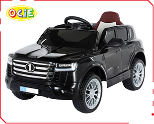 RECHARGEABLE CAR W/ RC