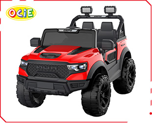 RECHARGEABLE CAR W/ RC