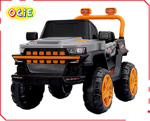 RECHARGEABLE CAR W/ RC