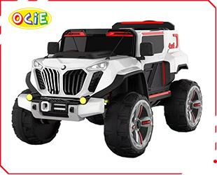 RECHARGEABLE CAR W/ RC