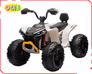 RECHARGEABLE ATV