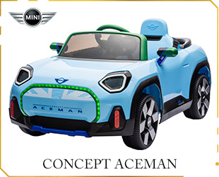 RECHARGEABLE CAR MINI CONCEPT LICENSE