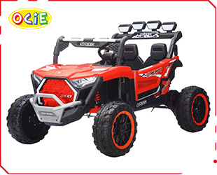 RECHARGEABLE CAR W/ RC