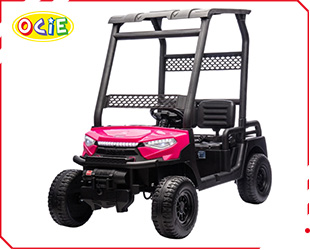 RECHARGEABLE UTV 