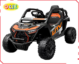 RECHARGEABLE CAR W/ RC