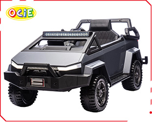 RECHARGEABLE UTV