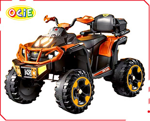 RECHARGEABLE ATV