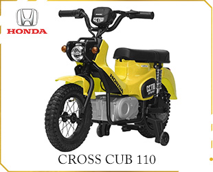 RECHARGEABLE MOTORCYCLE HONDA LICENSE