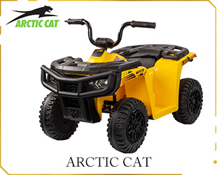 RECHARGEABLE ATV ARCTIC CAT LICENSE