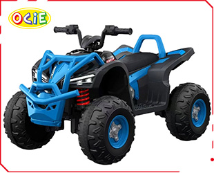 RECHARGEABLE ATV