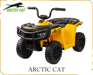 RECHARGEABLE ATV LICENSE