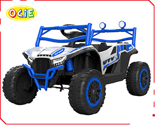 RECHARGEABLE CAR W/ RC