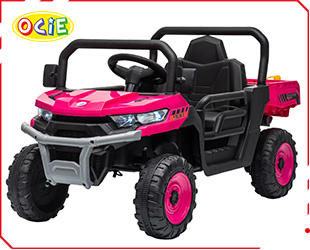 RECHARGEABLE CAR W/RC