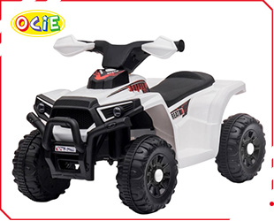 RECHARGEABLE ATV