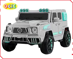 RECHARGEABLE CAR R/C