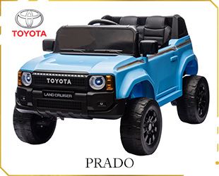 RECHARGEABLE CAR LICENSE R/C
