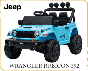RECHARGEABLE CAR LICENSE R/C