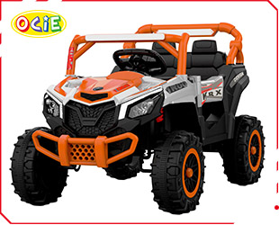 RECHARGEABLE UTV R/C