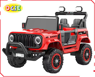 RECHARGEABLE CAR W/ RC