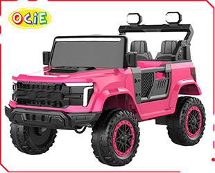 RECHARGEABLE CAR W/ RC