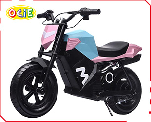 RECHARGEABLE MOTORCYCLE 