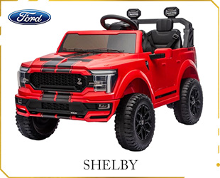RECHARGEABLE CAR FORD LICENSE