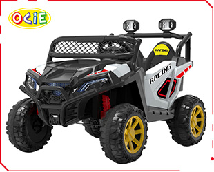 RECHARGEABLE CAR R/C