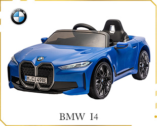RECHARGEABLE CAR BMW LICENSE