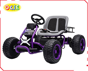 RECHARGEABLE ATV
