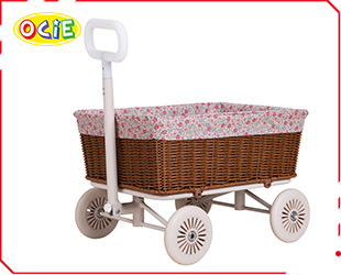 BABY PUSH CAR