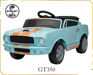 RECHARGEABLE CAR LICENSE