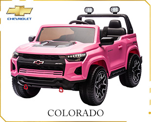 RECHARGEABLE CAR LICENSE