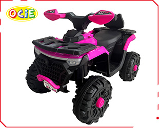 RECHARGEABLE ATV
