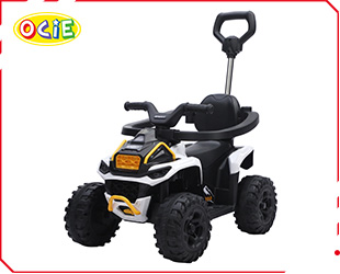 RECHARGEABLE ATV